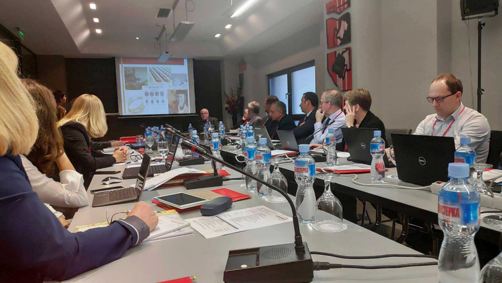 INM at the EURAMET Working Group for Capacity Building meeting